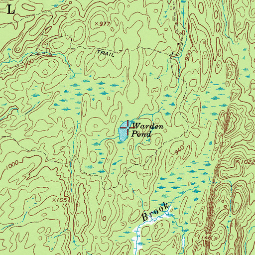 Topographic Map of Warden Pond, NY
