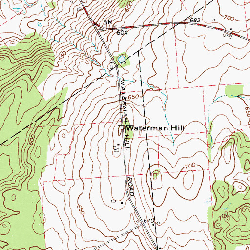 Topographic Map of Waterman Hill, NY