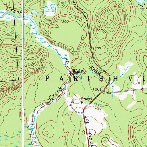 Topographic Map of Welch Brook, NY