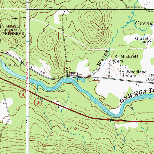Topographic Map of Welch Creek, NY