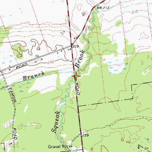 Topographic Map of West Branch Squeak Brook, NY
