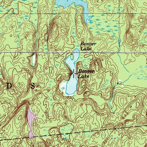 Topographic Map of Beaver Lake, NY