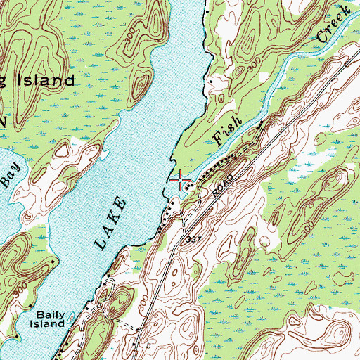Topographic Map of Fish Creek, NY