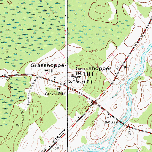 Topographic Map of Grasshopper Hill, NY