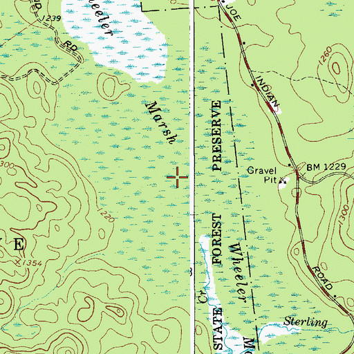 Topographic Map of Wheeler Marsh, NY