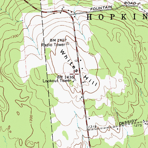 Topographic Map of Whites Hill, NY