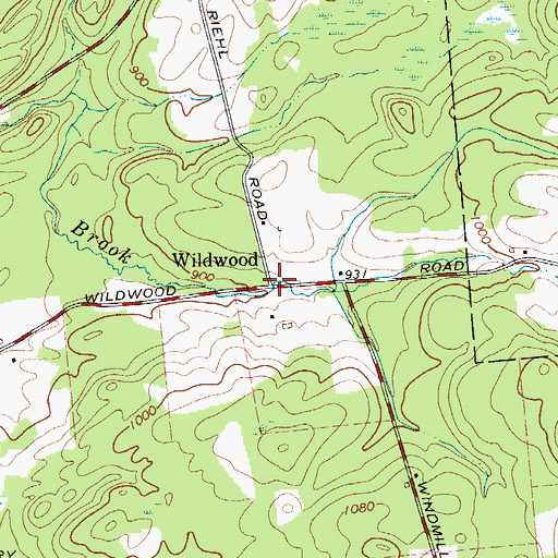 Topographic Map of Wildwood, NY