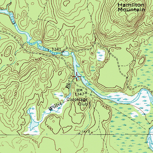 Topographic Map of Willis Brook, NY