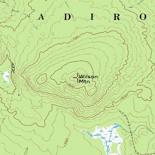 Topographic Map of Wilson Mountain, NY
