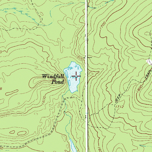 Topographic Map of Windfall Pond, NY