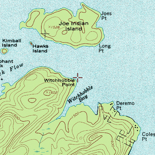 Topographic Map of Witchhobble Point, NY