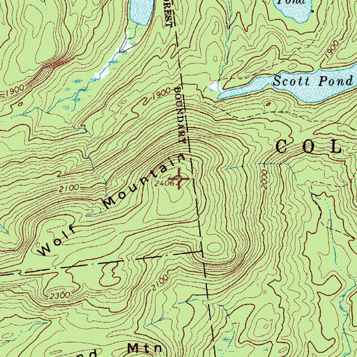 Topographic Map of Wolf Mountain, NY