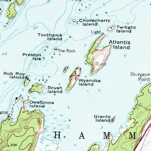 Topographic Map of Wyanoke Island, NY