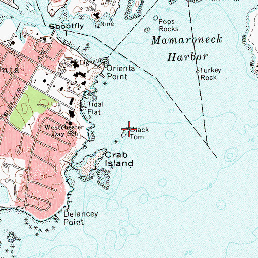 Topographic Map of Black Tom, NY