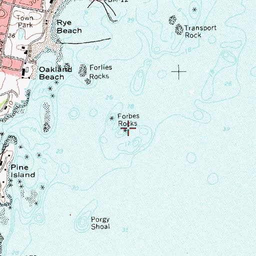 Topographic Map of Forbes Rocks, NY