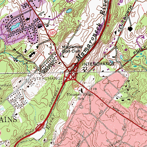 Topographic Map of Interchange 25, NY
