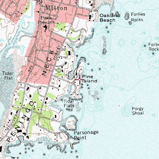 Topographic Map of Pine Island, NY