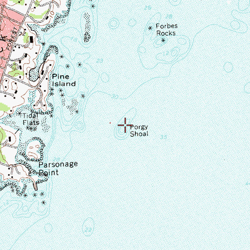 Topographic Map of Porgy Shoal, NY