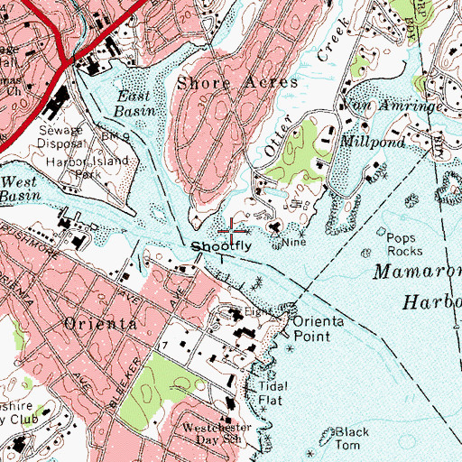 Topographic Map of Shootfly Island, NY