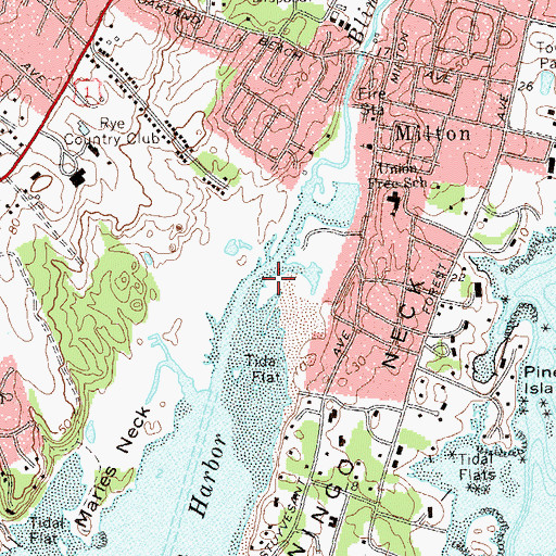 Topographic Map of Mill Pond, NY