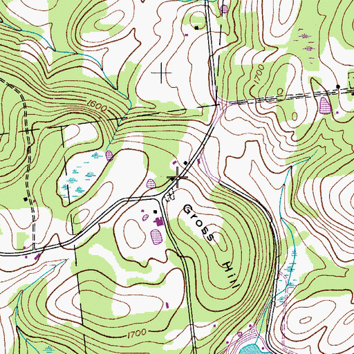 Topographic Map of Gross Hill School, NY