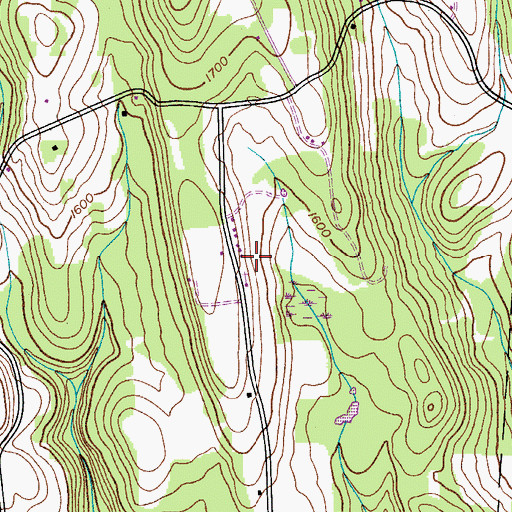 Topographic Map of Rosa Mystica Marian Center, NY