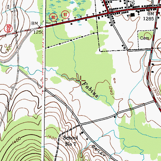 Topographic Map of The Old Fly, NY