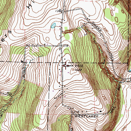 Topographic Map of WQIX-FM (Horseheads), NY
