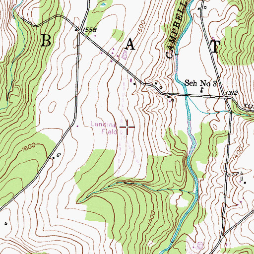 Topographic Map of Dickinsons Airfield (historical), NY