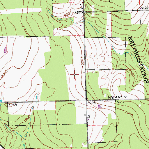 Topographic Map of Plane Haven Airport (historical), NY