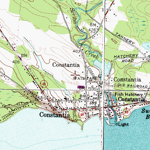 Topographic Map of Shepard Airport, NY