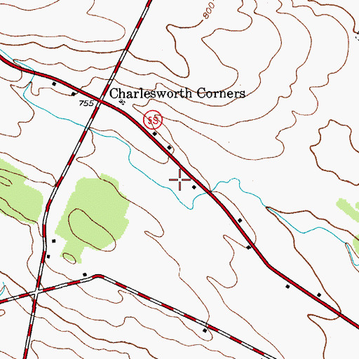 Topographic Map of Nellis Field, NY