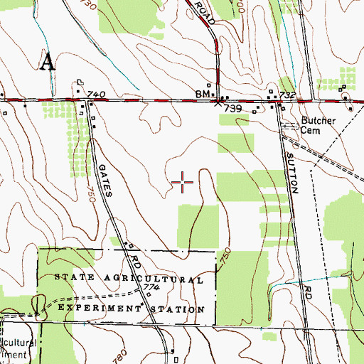 Topographic Map of Grammar Airport, NY