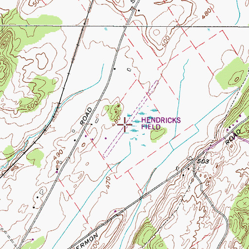 Topographic Map of Hendricks Field, NY