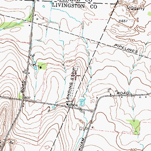 Topographic Map of Bedson's Land Base Airport, NY