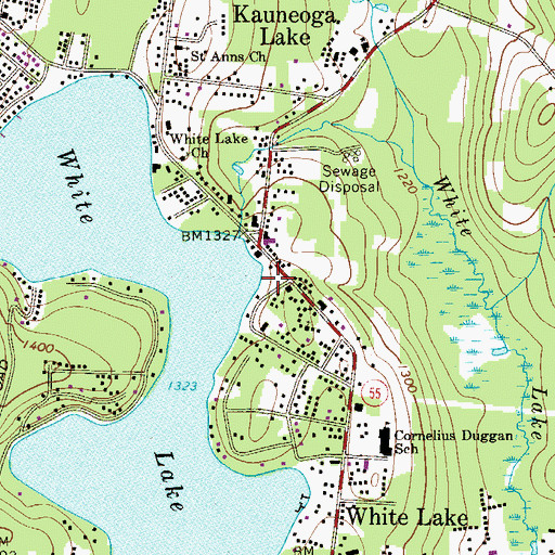 Topographic Map of Firemans White Lake Seaplane Base, NY