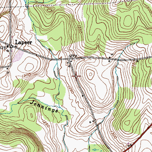 Topographic Map of Lapeer Flyer Airport (historical), NY