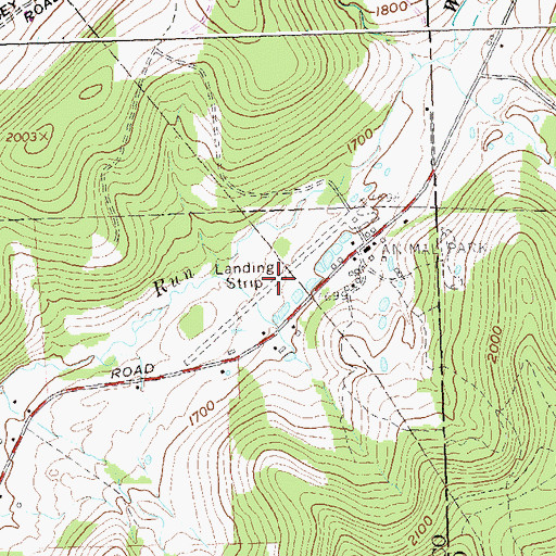 Topographic Map of Reiss Game Farm Airport, NY