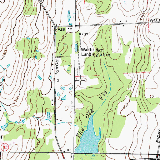 Topographic Map of Wallbridge Airport (historical), NY