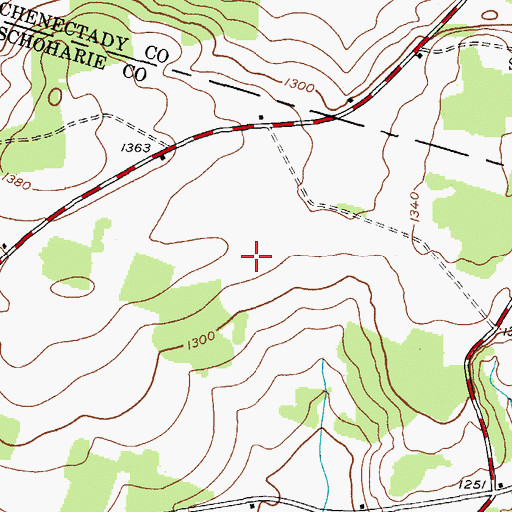Topographic Map of Nettie's Place Airport, NY