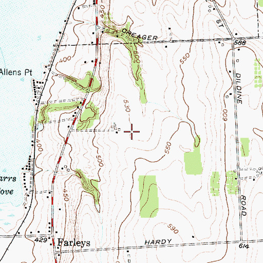 Topographic Map of St Bernard Field, NY