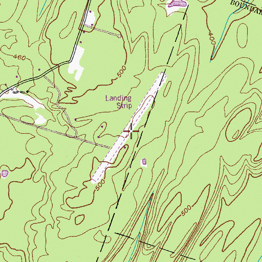 Topographic Map of Strip In the Woods Airport, NY