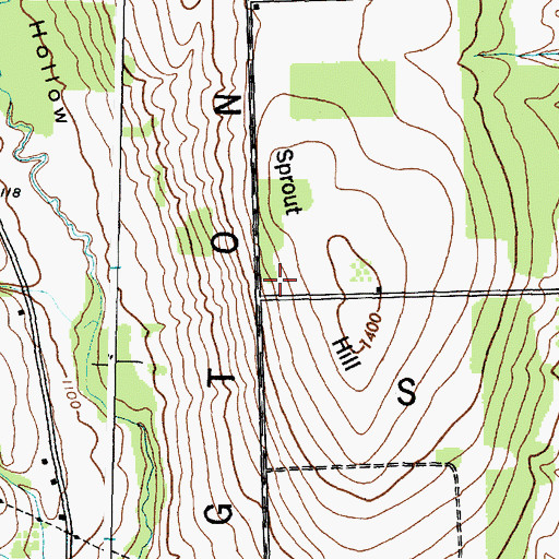 Topographic Map of WFLR-FM (Dundee), NY