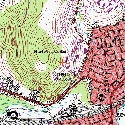 Topographic Map of WRHO-FM (Oneonta), NY