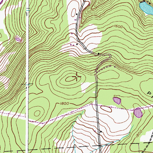 Topographic Map of WCDO-FM (Sidney), NY