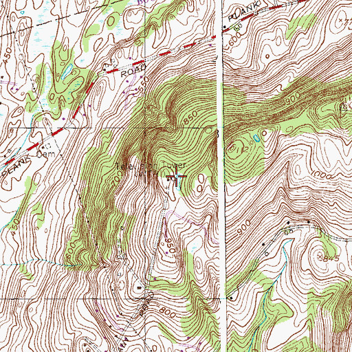 Topographic Map of WNYT-TV (Albany), NY