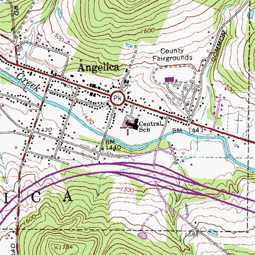 Topographic Map of Town of Angelica, NY