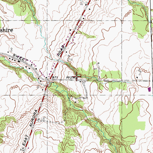 Topographic Map of Town of Aurora, NY