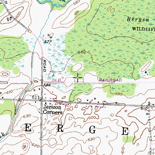 Topographic Map of Town of Bergen, NY