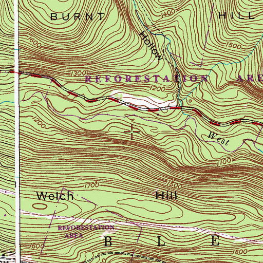 Topographic Map of Town of Blenheim, NY